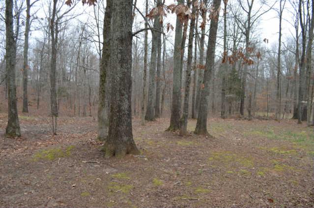 3490 Hunters Ridge Woodlawn, TN 37191 - Photo 3 of 18 Nice Wooded Lot