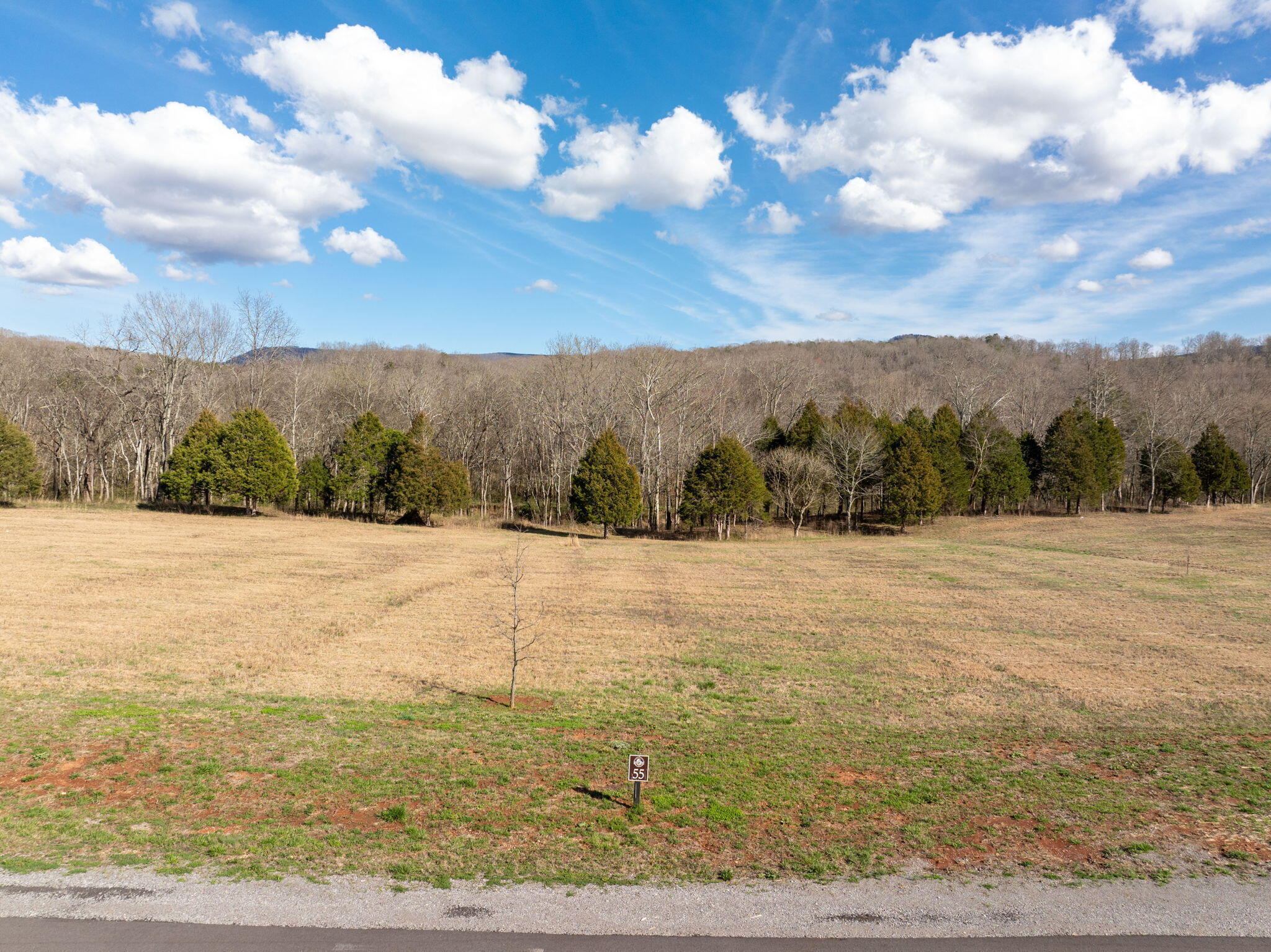 55 River Ridge Drive, Unit 55 Dunlap, TN 37327 - Photo 6 of 11 Lot 55