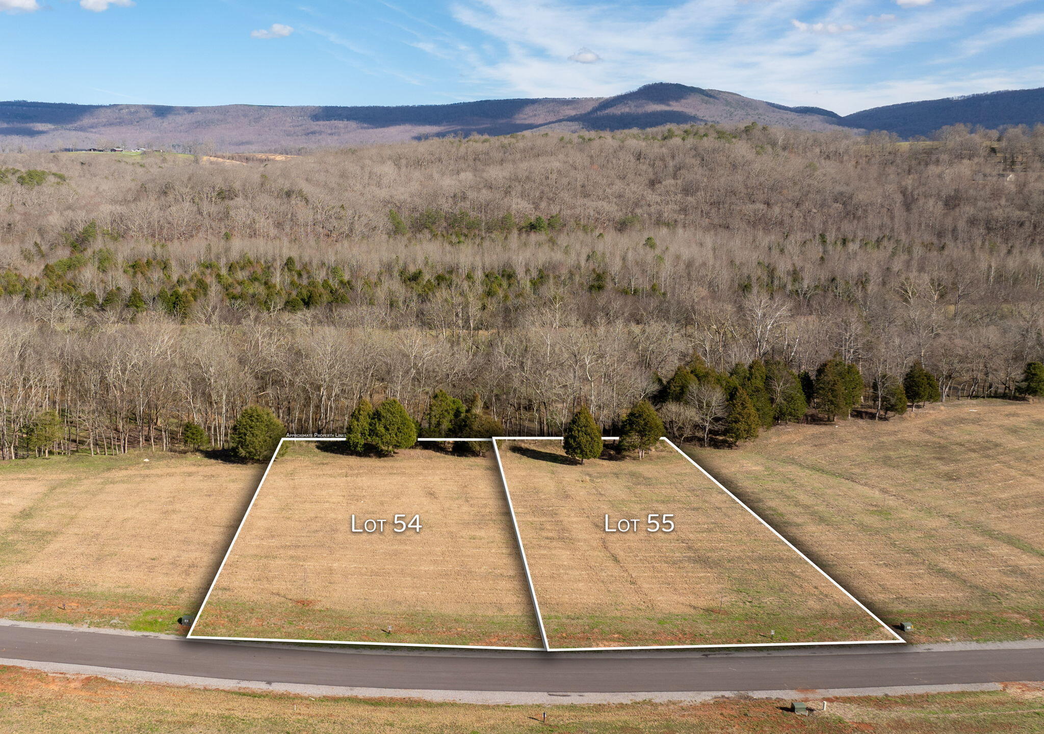 55 River Ridge Drive, Unit 55 Dunlap, TN 37327 - Photo 8 of 11 Lot 54 & 55