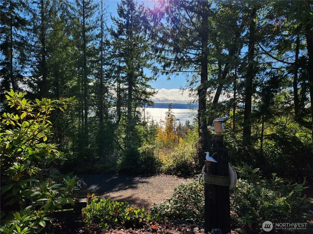 a view of a back yard