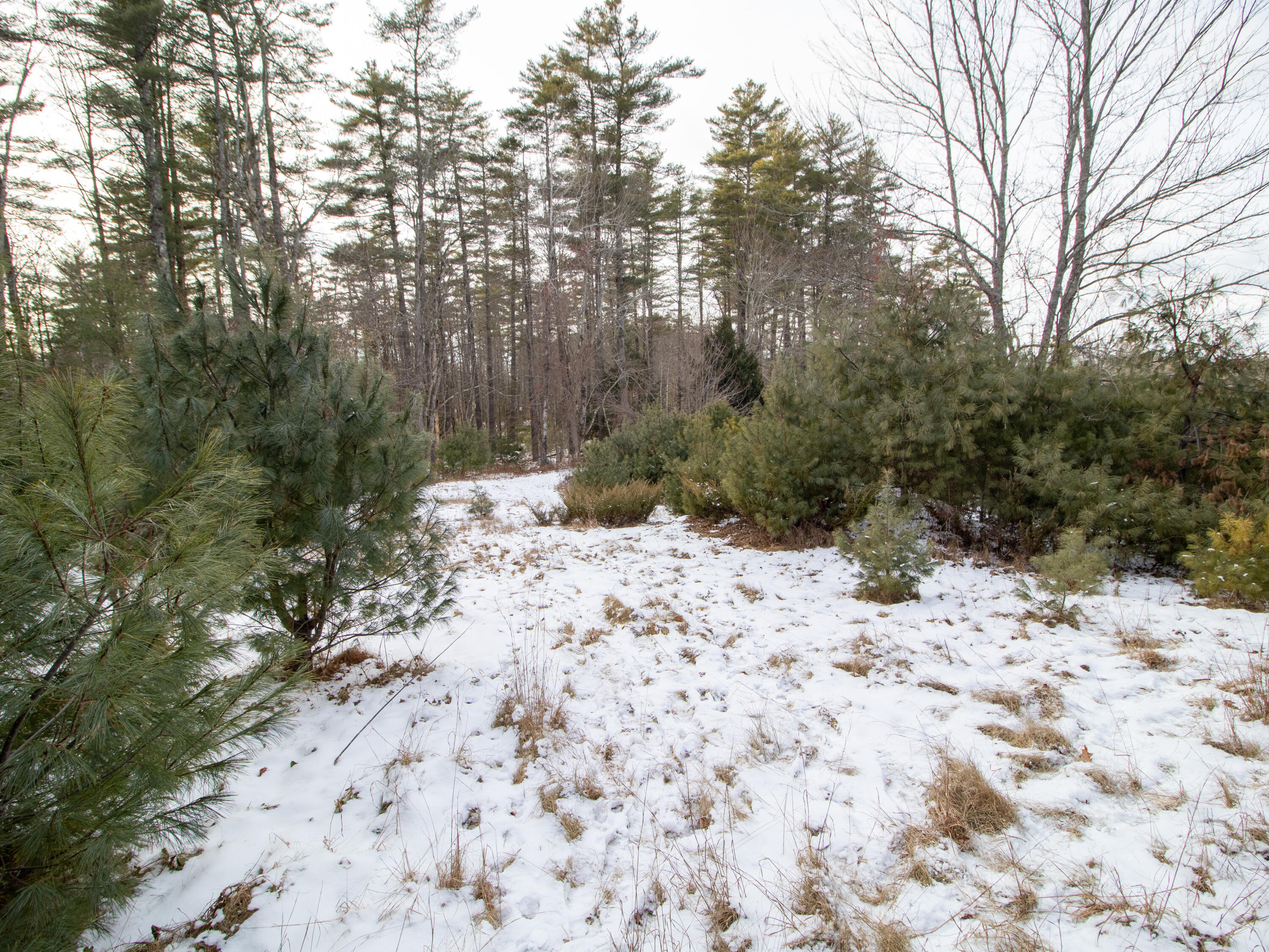 Lot 28-1-a Saco Road Standish, ME 04084 - Photo 19 of 22 IMG_4503