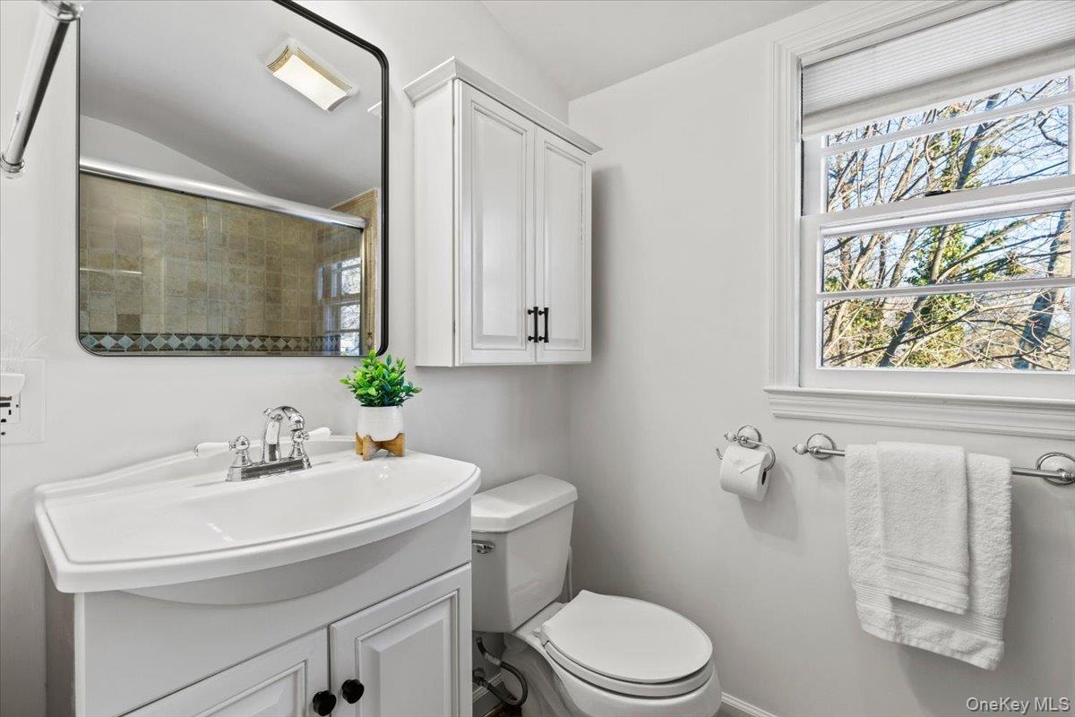 196 Old Army Road Scarsdale, NY 10583 - Photo 16 of 33 a bathroom with a sink a toilet and a mirror