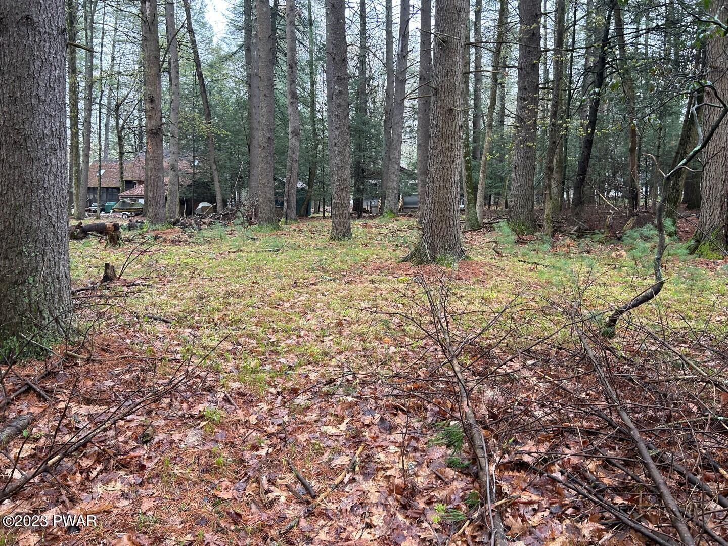 Lot 211 Cottage Road Tafton, PA 18464 - Photo 3 of 12