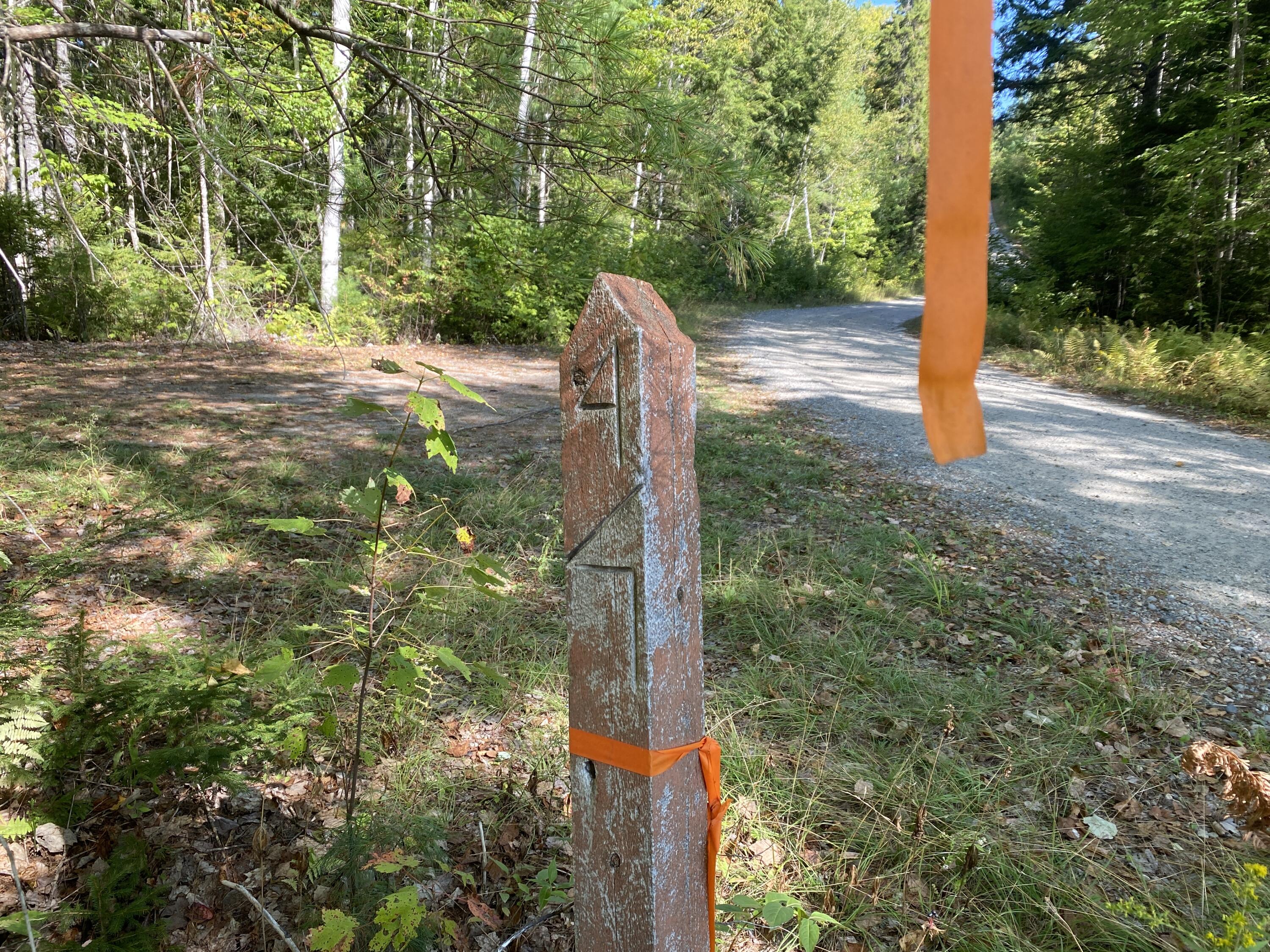 M06-lot18a Sys Road Lakeville, ME 04487 - Photo 3 of 23 IMG_3