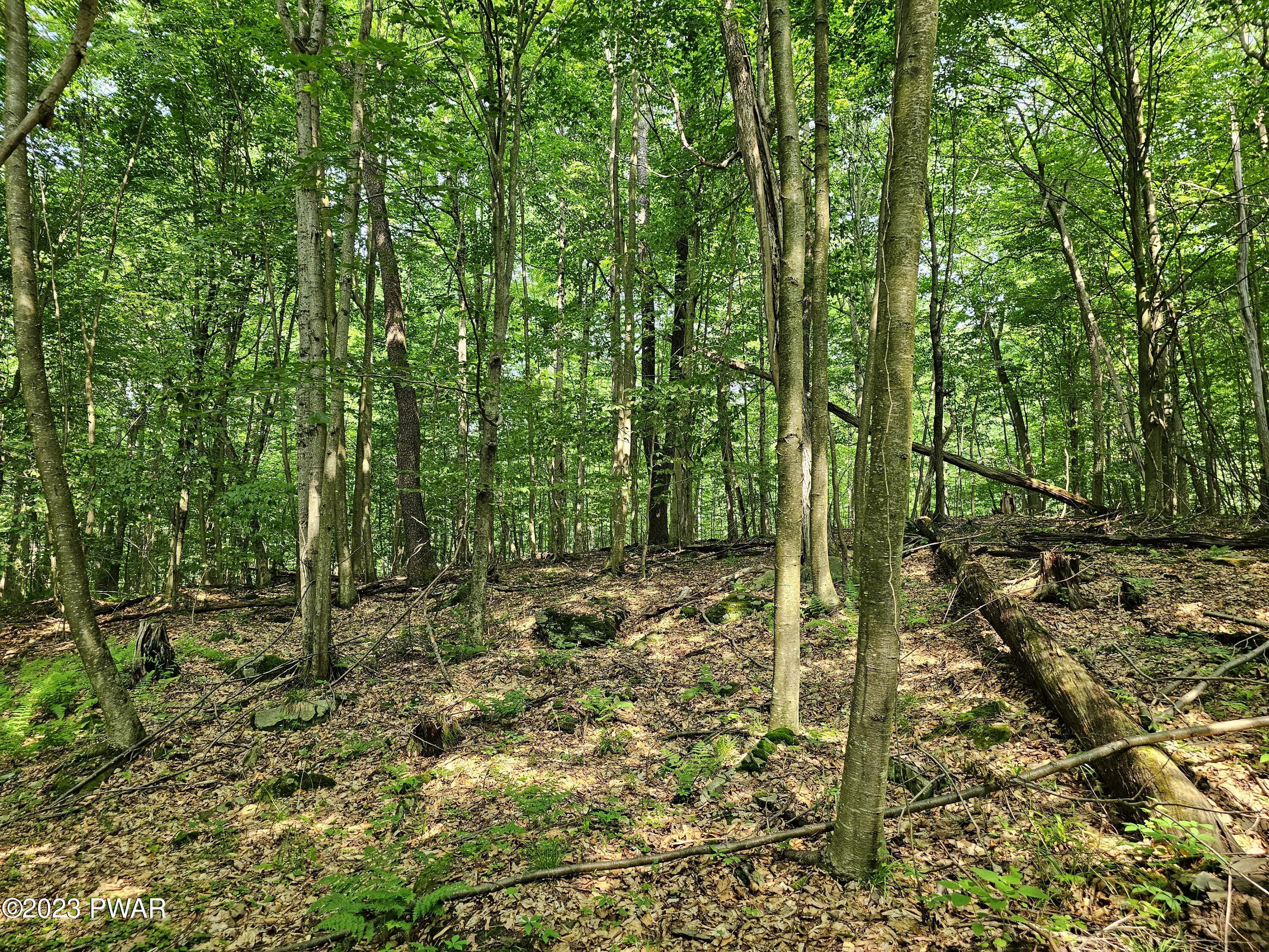 Lot 61 Rock Run Road Damascus, PA 18415 - Photo 10 of 56