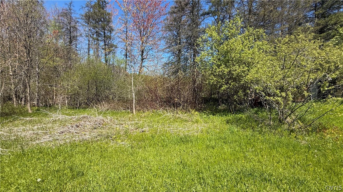 318 Stoney Robby Road Granby, NY 13126 - Photo 5 of 7