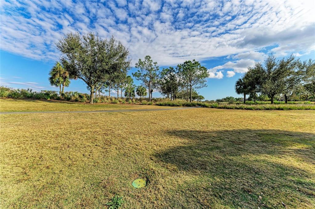 4921 Napoli Run Lakewood Ranch, FL 34211 - Photo 54 of 91