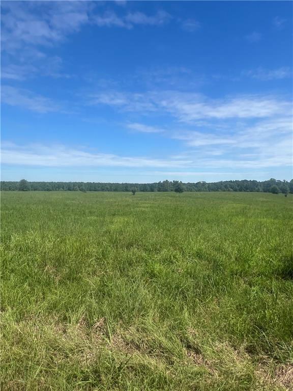 0 Lanaux Farm Road Loranger, LA 70446 - Photo 11 of 14