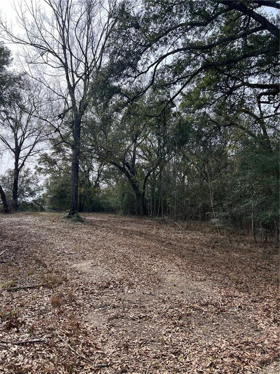 0 Lanaux Farm Road Loranger, LA 70446 - Photo 14 of 14