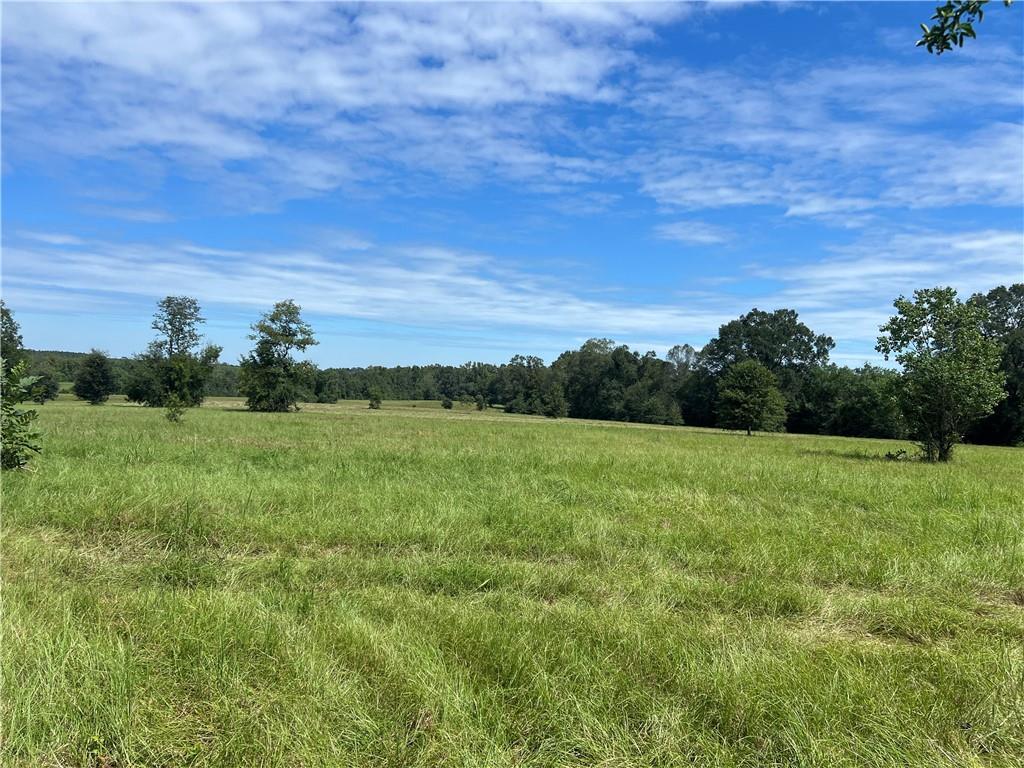 0 Lanaux Farm Road Loranger, LA 70446 - Photo 5 of 14