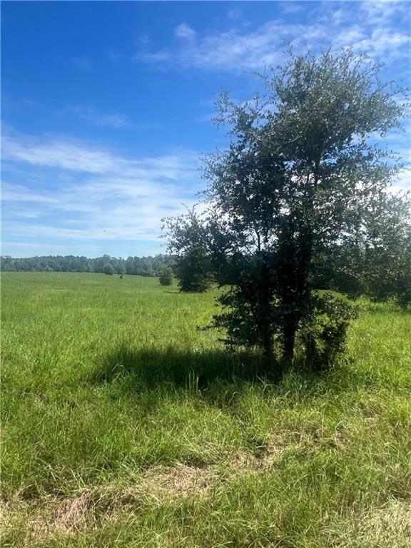 0 Lanaux Farm Road Loranger, LA 70446 - Photo 10 of 14