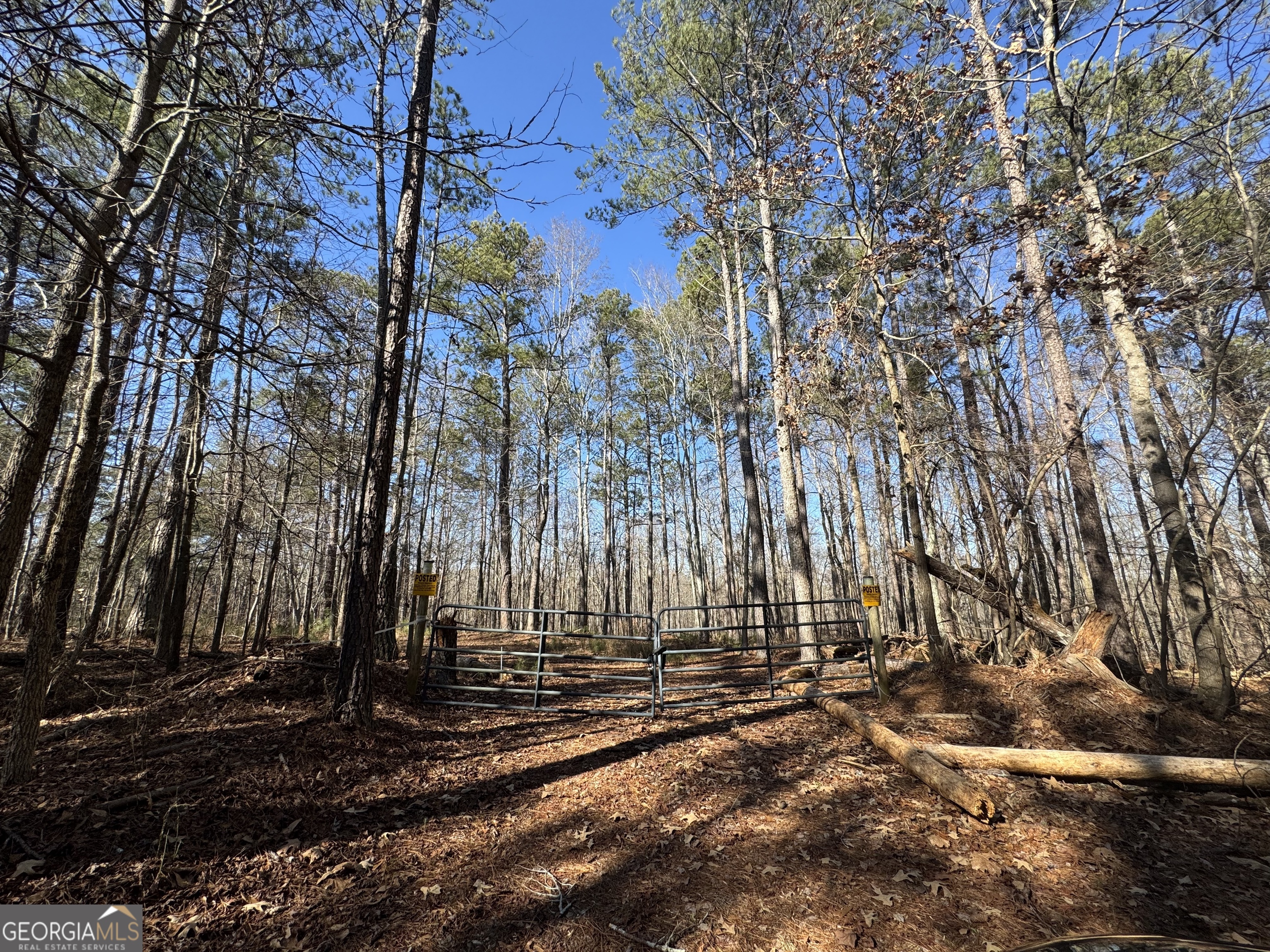 300 Old Goshen Church Road Roopville, GA 30170 - Photo 1 of 1 a view of a backyard with large trees