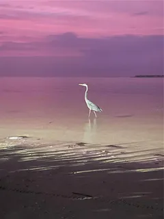 $529,000 | 500 Sanibel Court, Tarpon Springs, FL 34689