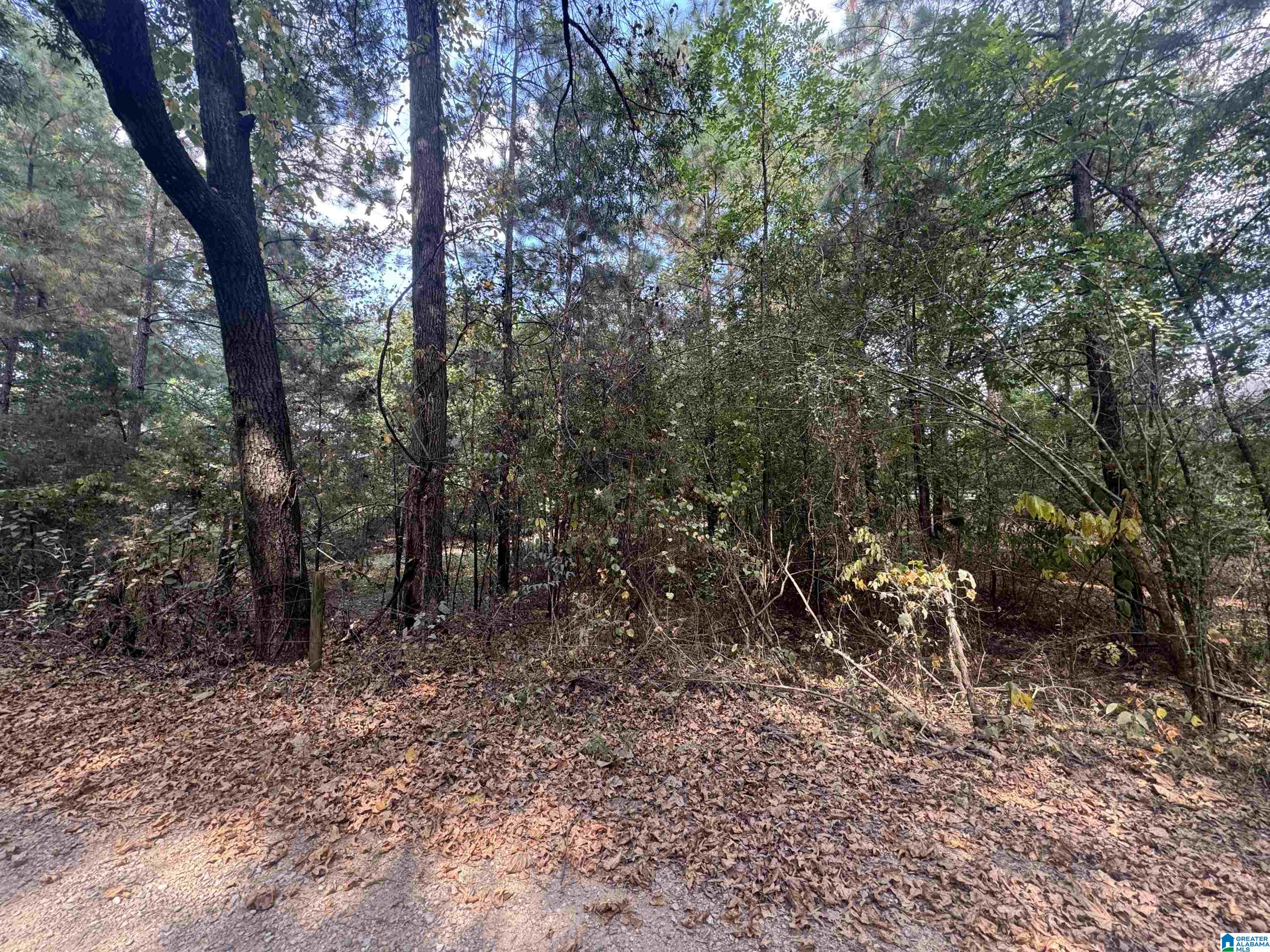 0 Alex Mill Road, Unit 1 Montevallo, AL 35115 - Photo 3 of 3