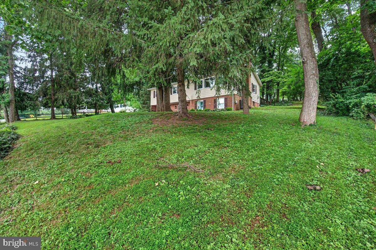 6144 Mt Phillip Road Frederick, MD 21703 - Photo 32 of 32 Front yard