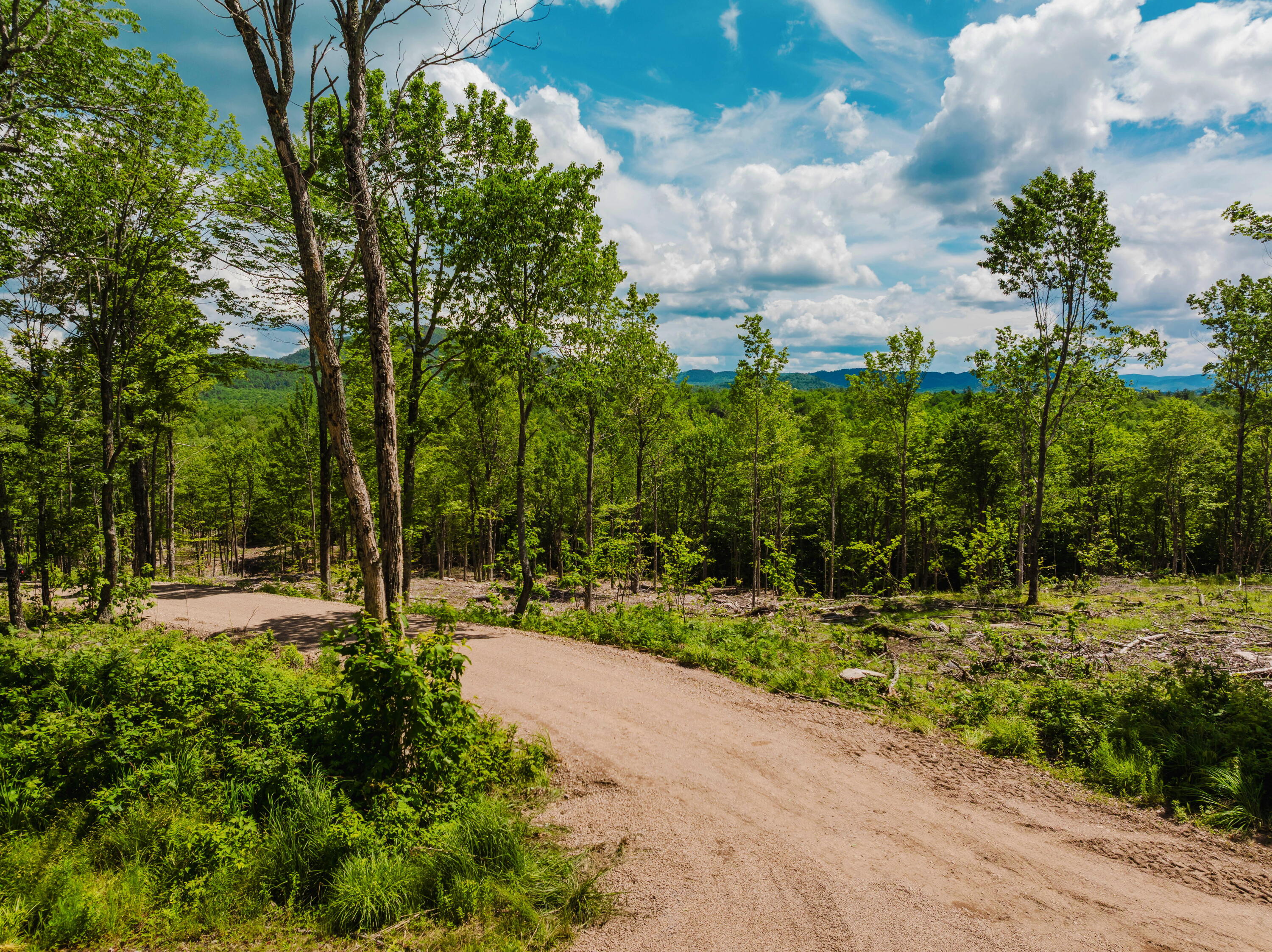 733 Ore Bed Road Black Brook, NY 12912 - Photo 28 of 38