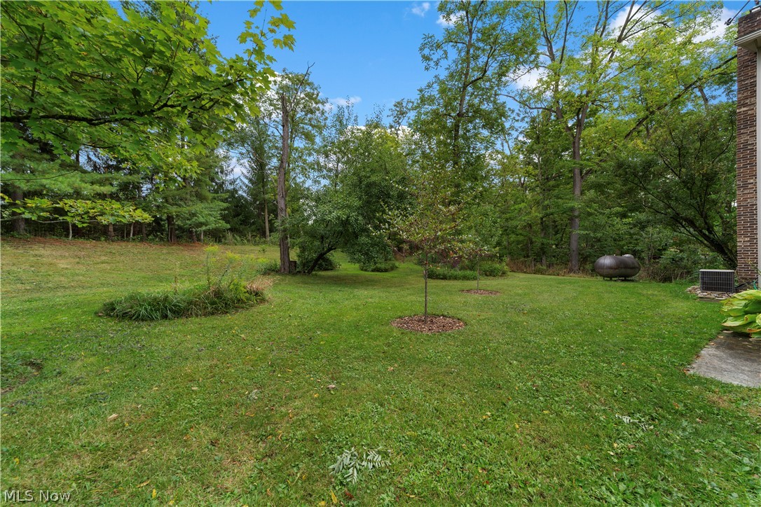 7878 Prouty Road Lodi, OH 44254 - Photo 46 of 50 Gallery Image 46
