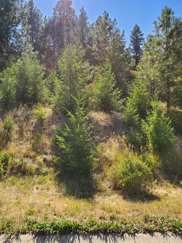 $98,999 | 1525 Carl J Lane, Spokane, WA 99218