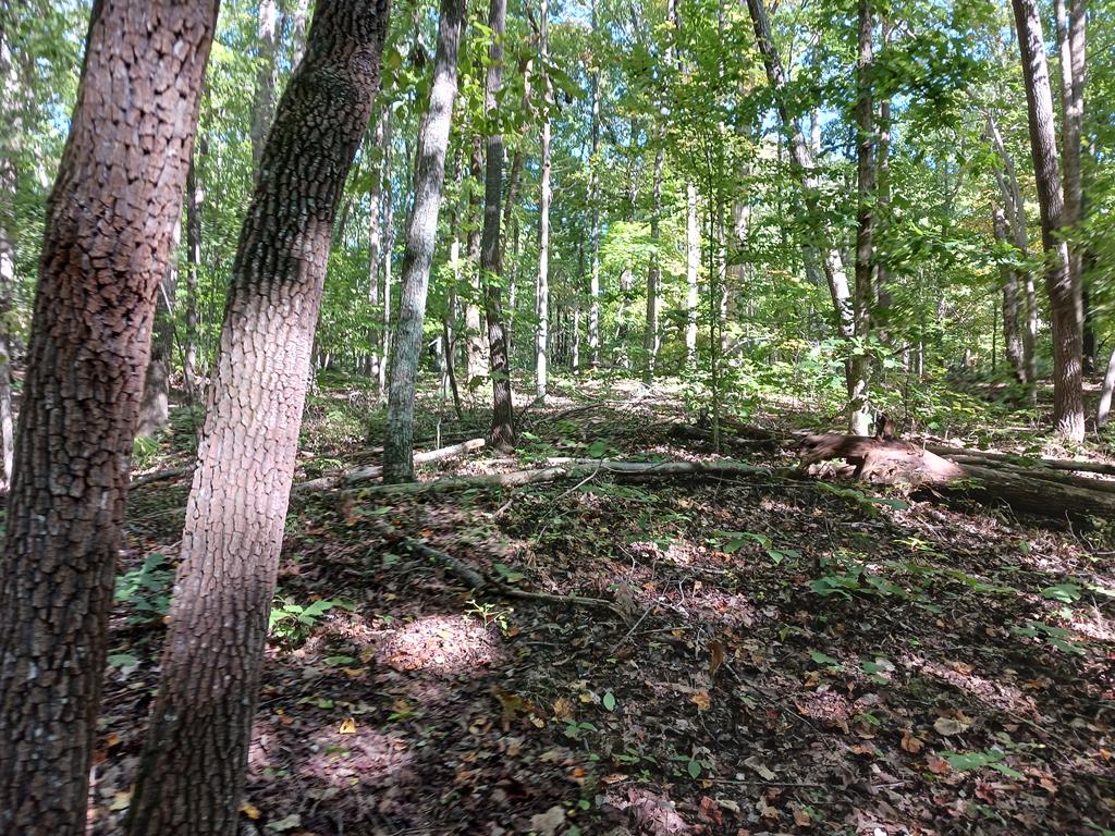 659 Buffalo Church Road, Unit 6A Pamplin, VA 23958 - Photo 1 of 8 Gallery Image 1