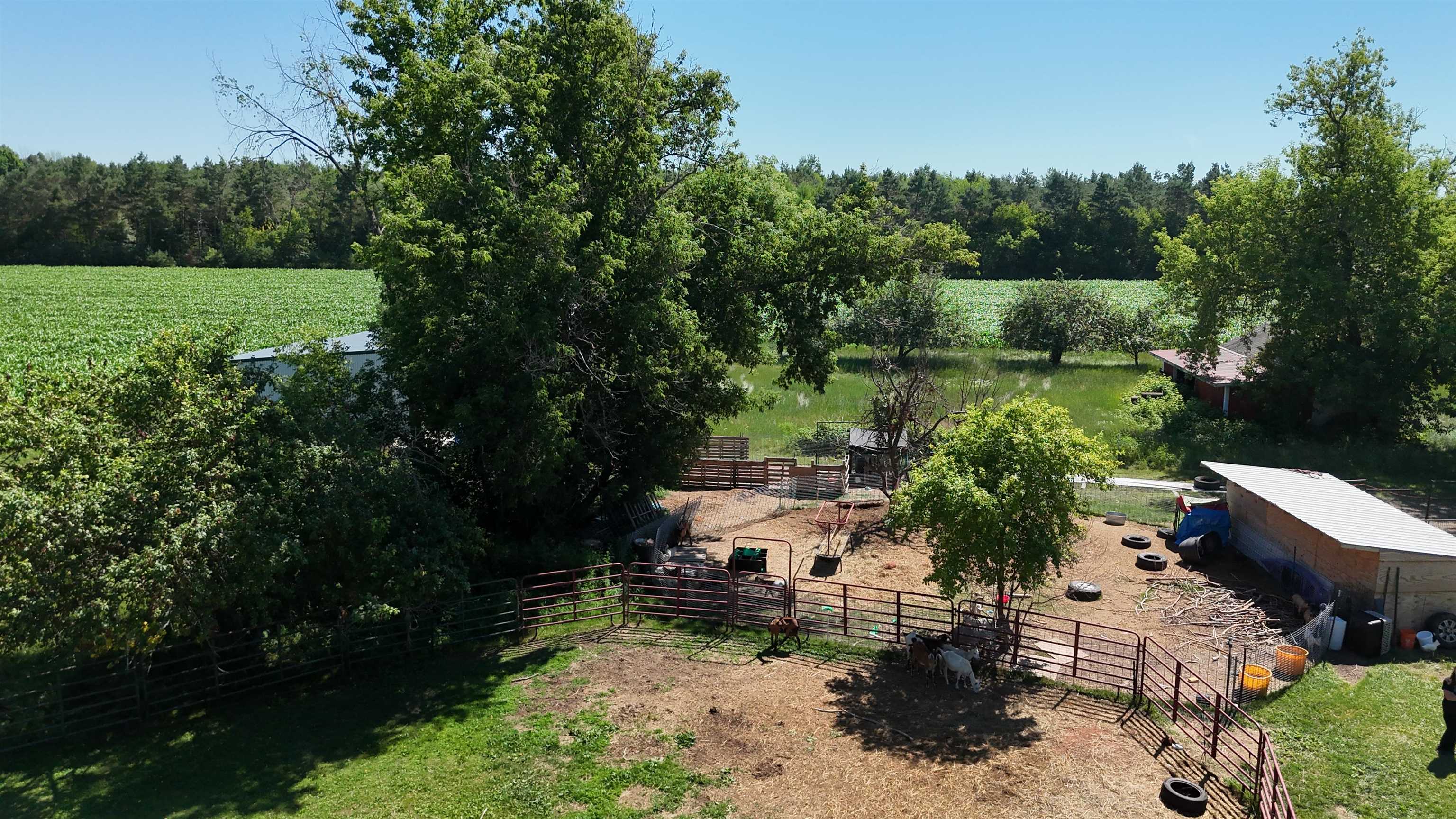 W6898 County Rd T Pearson, WI 54462 - Photo 12 of 27