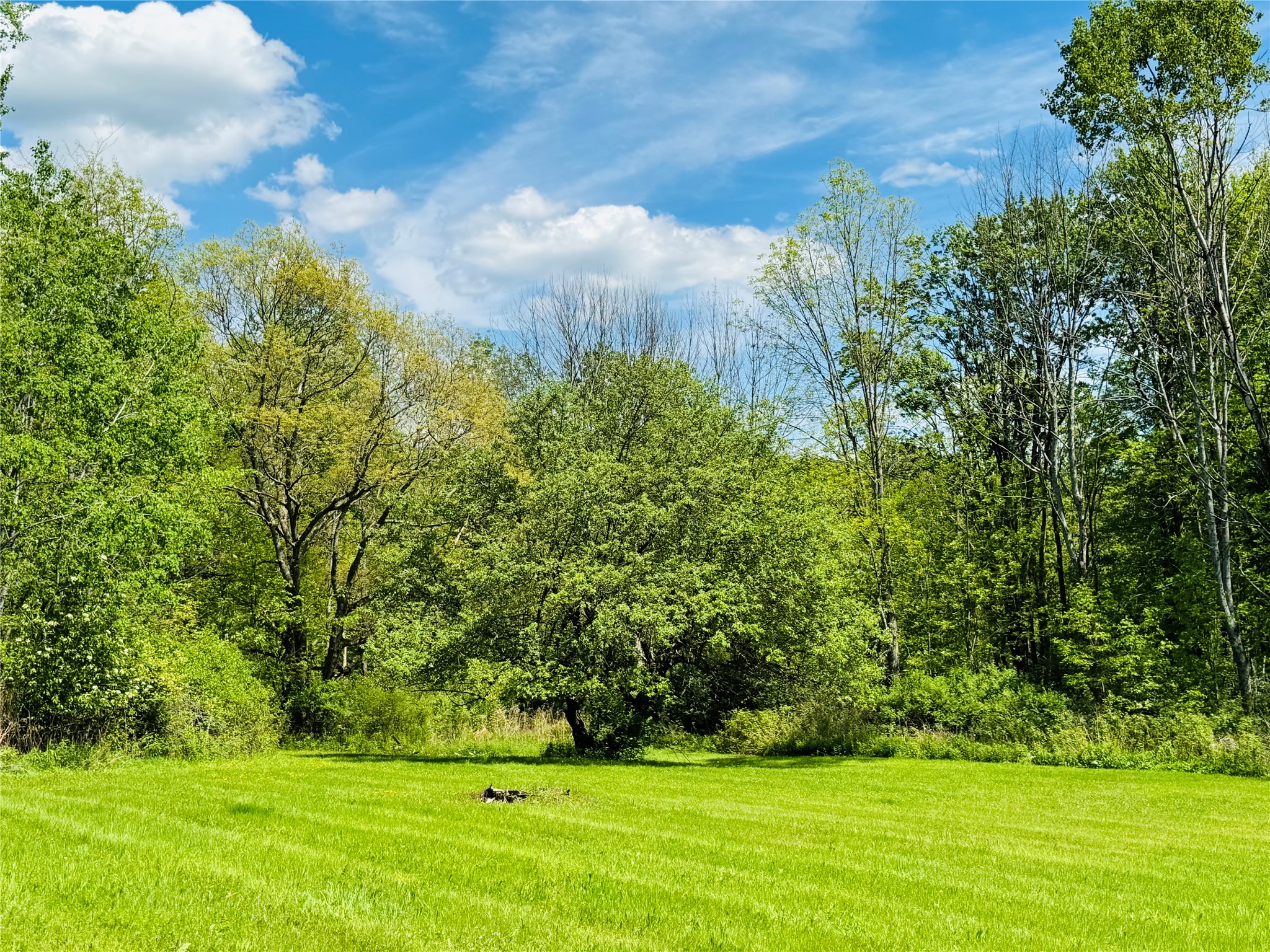 222 Duell Road Binghamton, NY 13904 - Photo 4 of 30