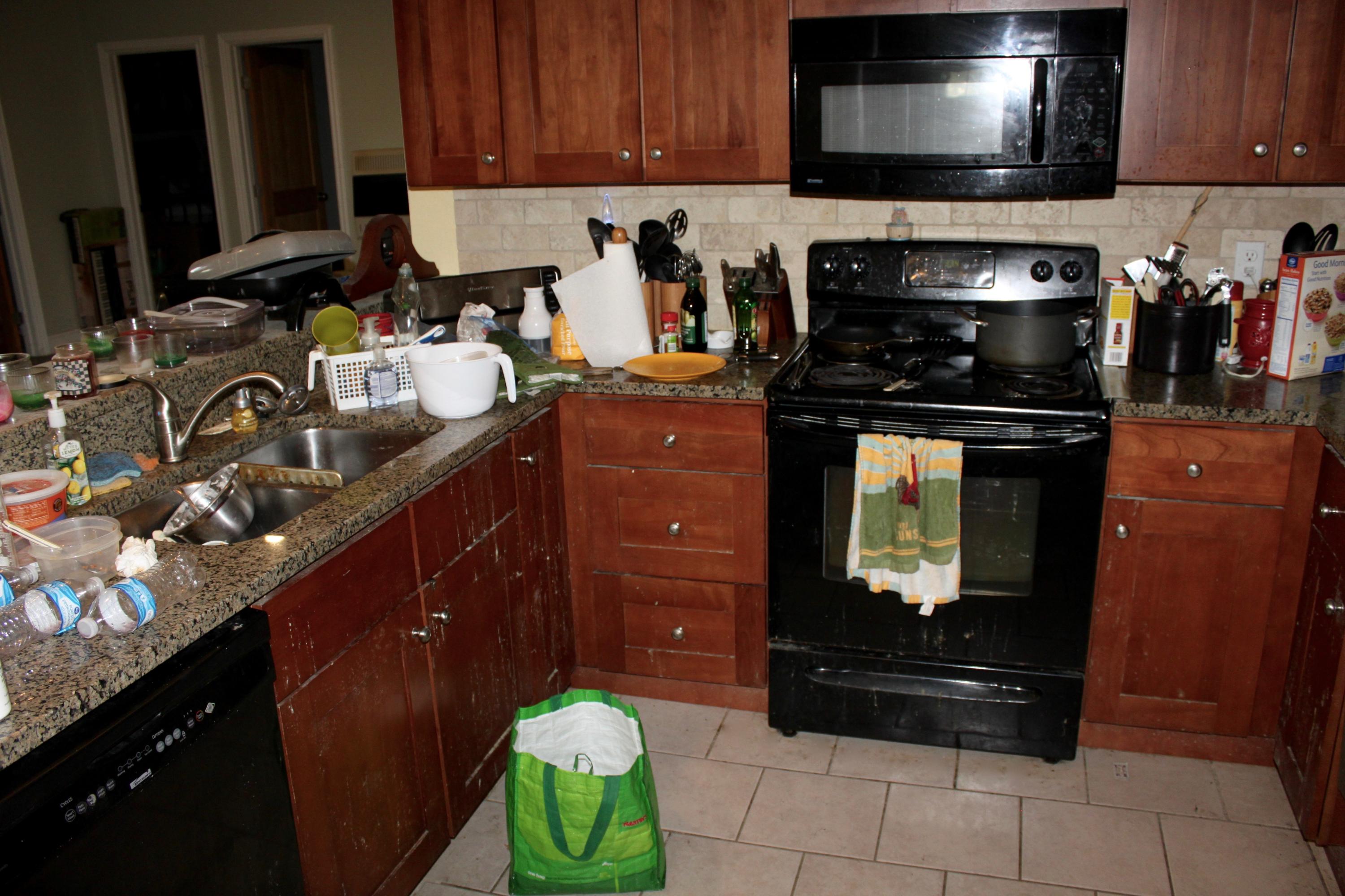 1155 Twin Bridge Road Deer Lodge, TN 37726 - Photo 28 of 39 Basement Kitchen