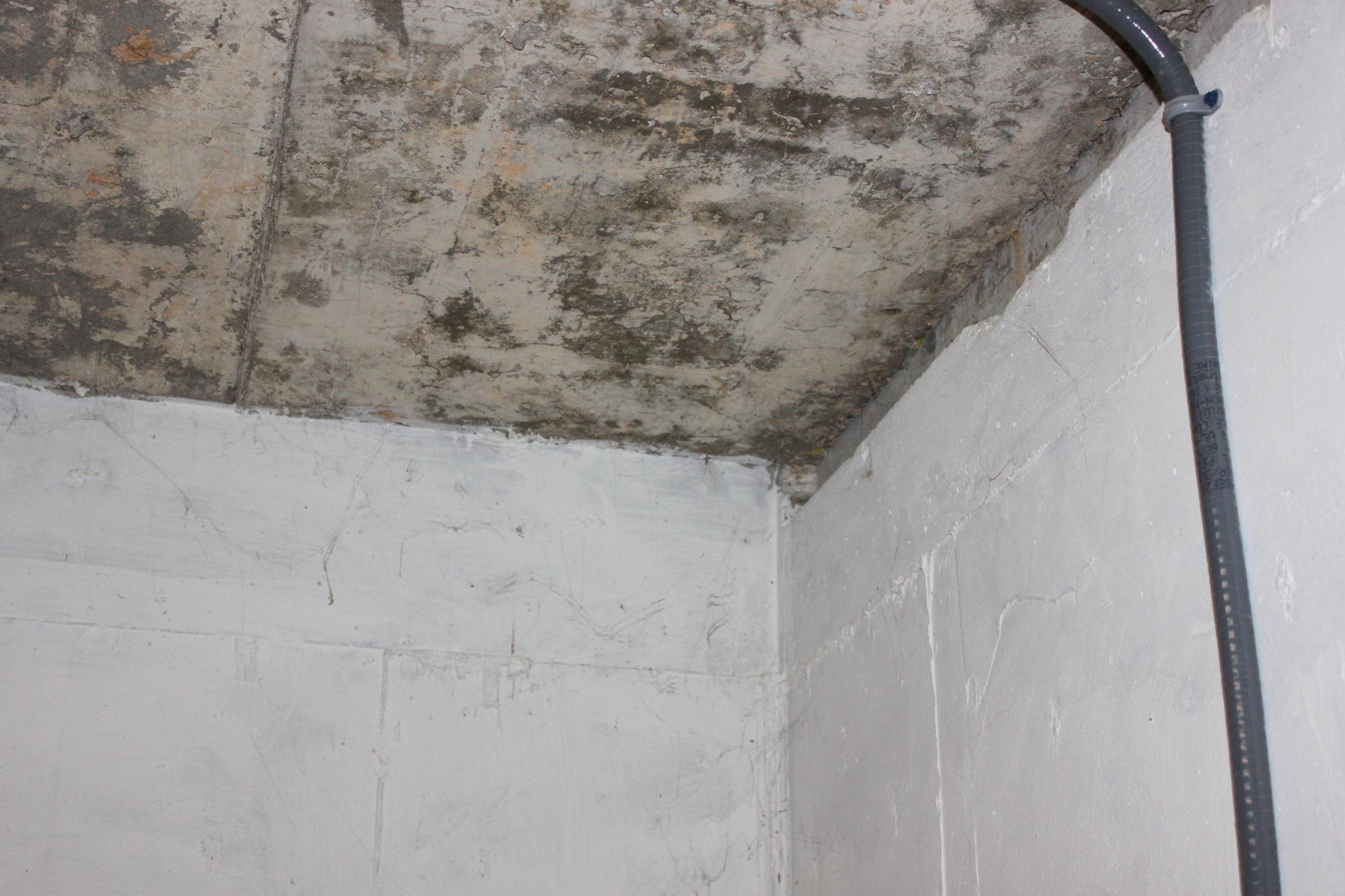 1155 Twin Bridge Road Deer Lodge, TN 37726 - Photo 33 of 39 Basement Storm-Safe Room Celling