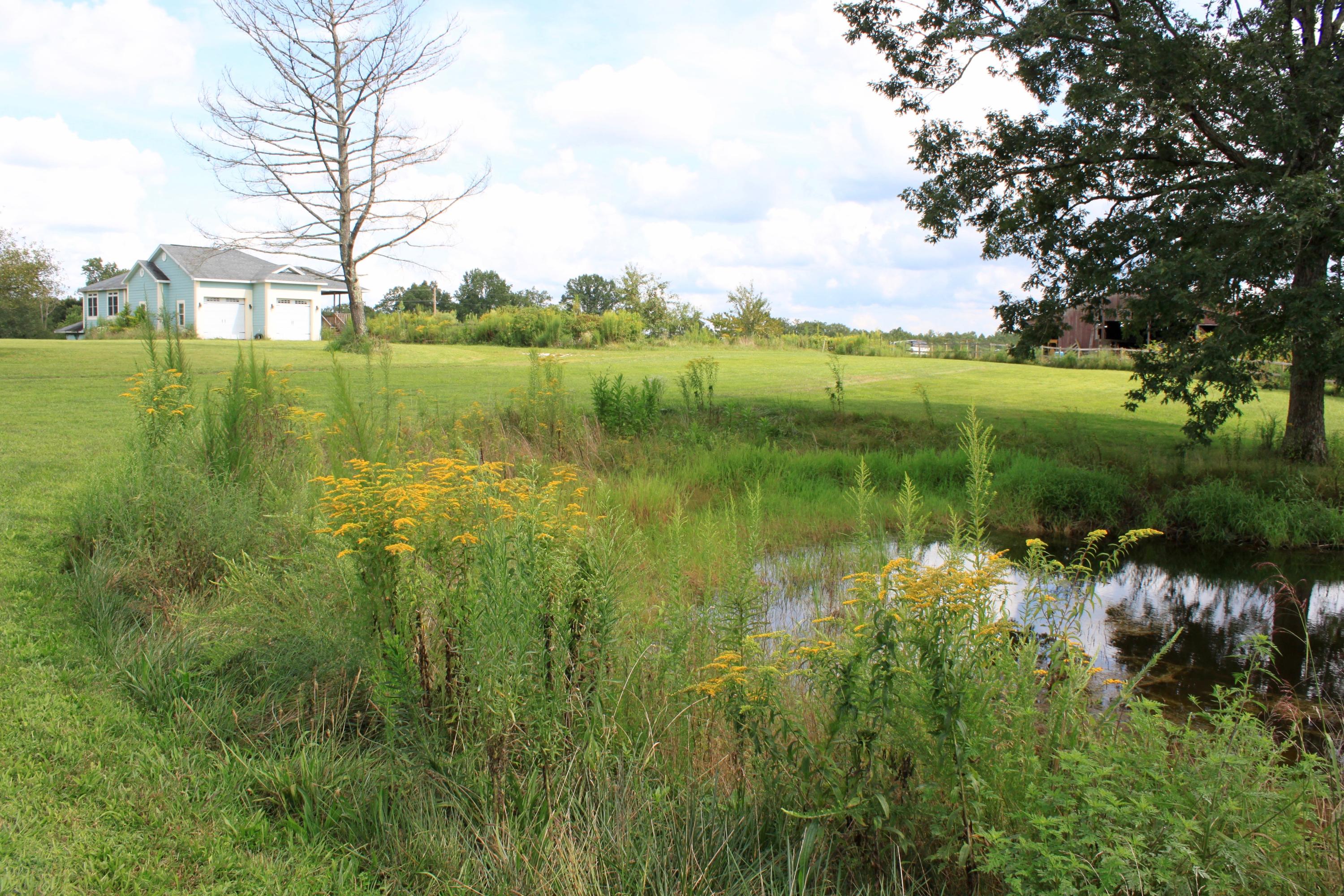 1155 Twin Bridge Road Deer Lodge, TN 37726 - Photo 5 of 39 House-Pond