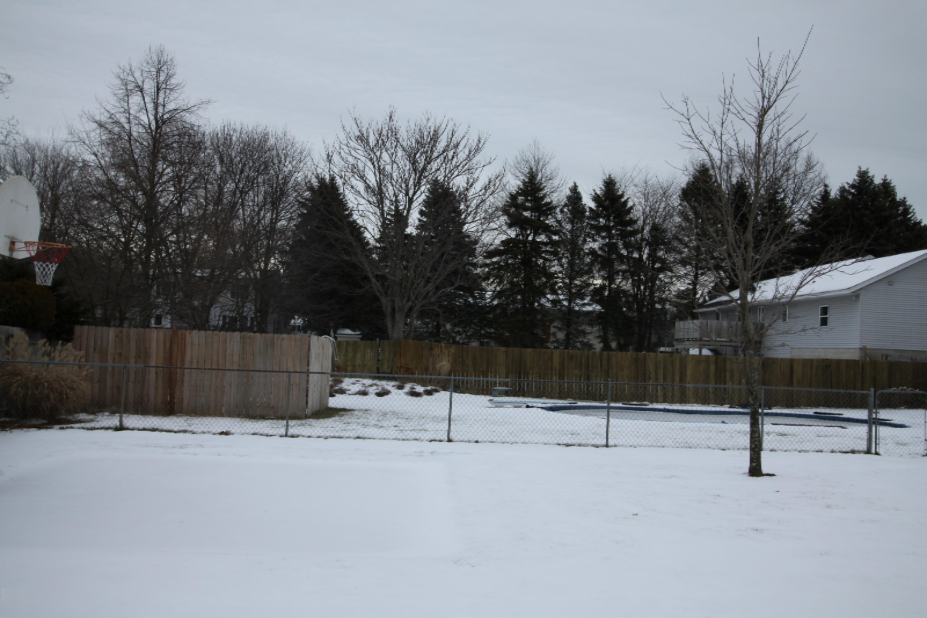 2526 Shettler Road Muskegon, MI 49444 - Photo 38 of 39 IMG_7381