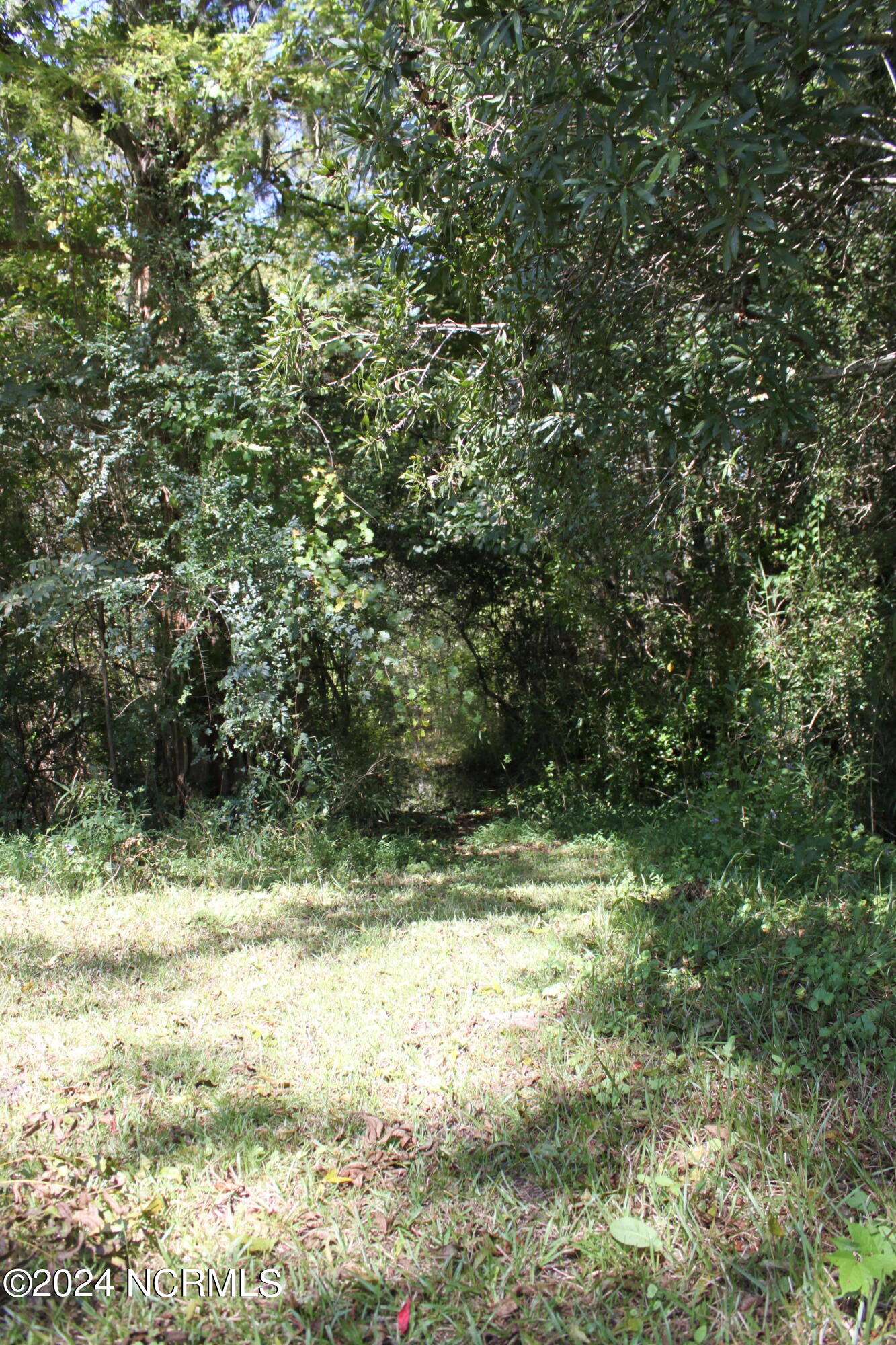 419 Cannons Ferry Road Tyner, NC 27980 - Photo 20 of 34 IMG_2365