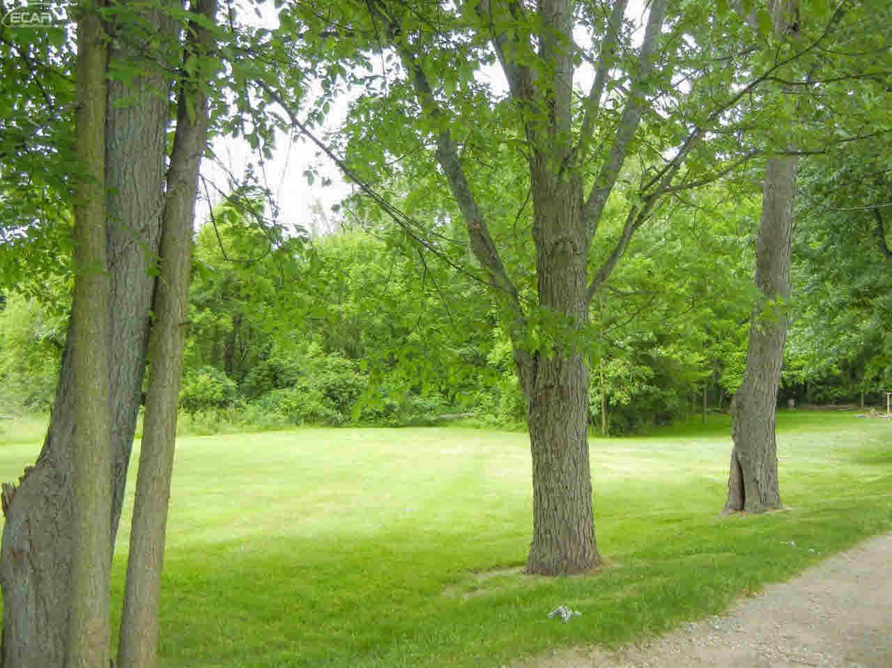0 Summit Street Durand, MI 48429 - Photo 4 of 8