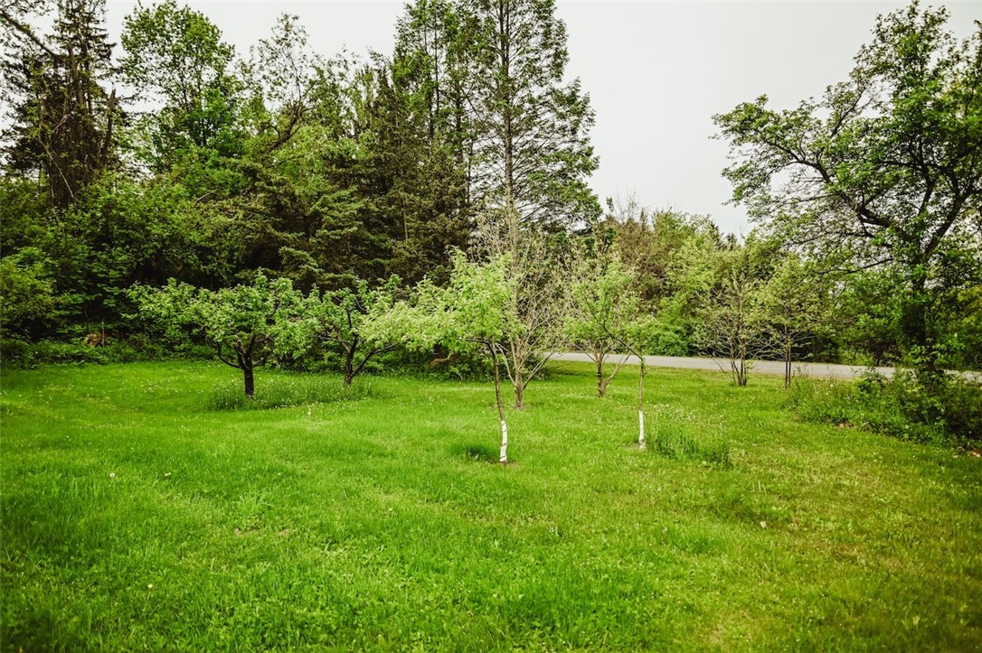 1840 Watson Circle Tully, NY 13159 - Photo 17 of 46