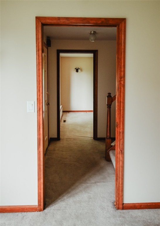 1840 Watson Circle Tully, NY 13159 - Photo 33 of 46