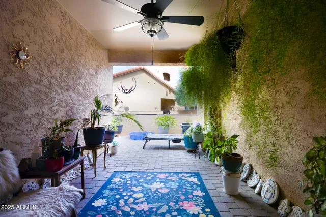 a view of backyard of house