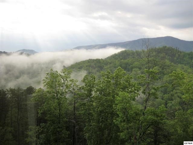 2844 White Oak Ridge Lane, Unit MYSTICSUNRISE Sevierville, TN 37862 - Photo 2 of 35 Gallery Image 2