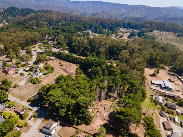 an aerial view of green landscape with trees houses and mountain view