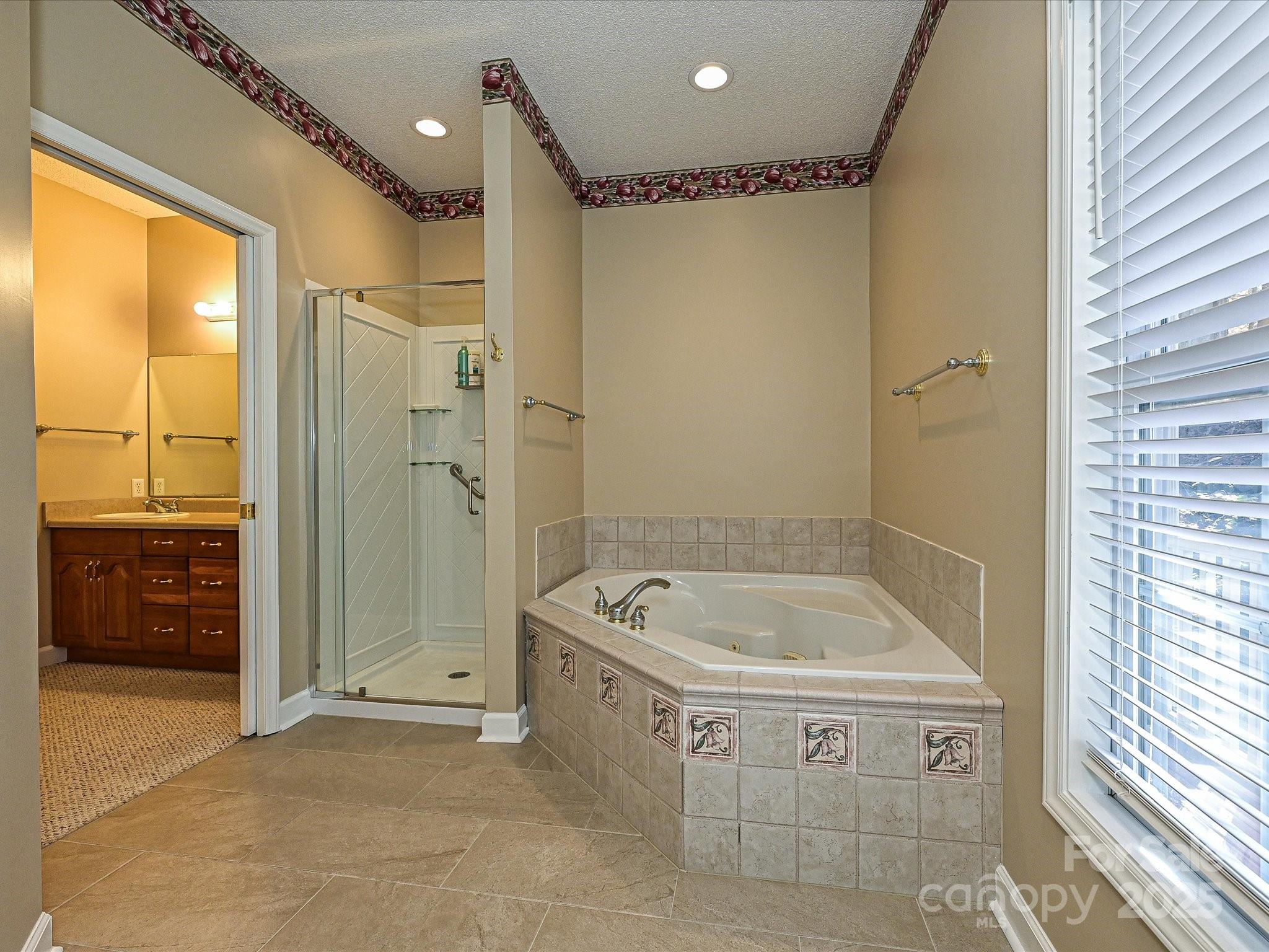 25040 Timberlake Drive Tega Cay, SC 29708 - Photo 26 of 40 a bathroom with a tub a sink a mirror and a shower