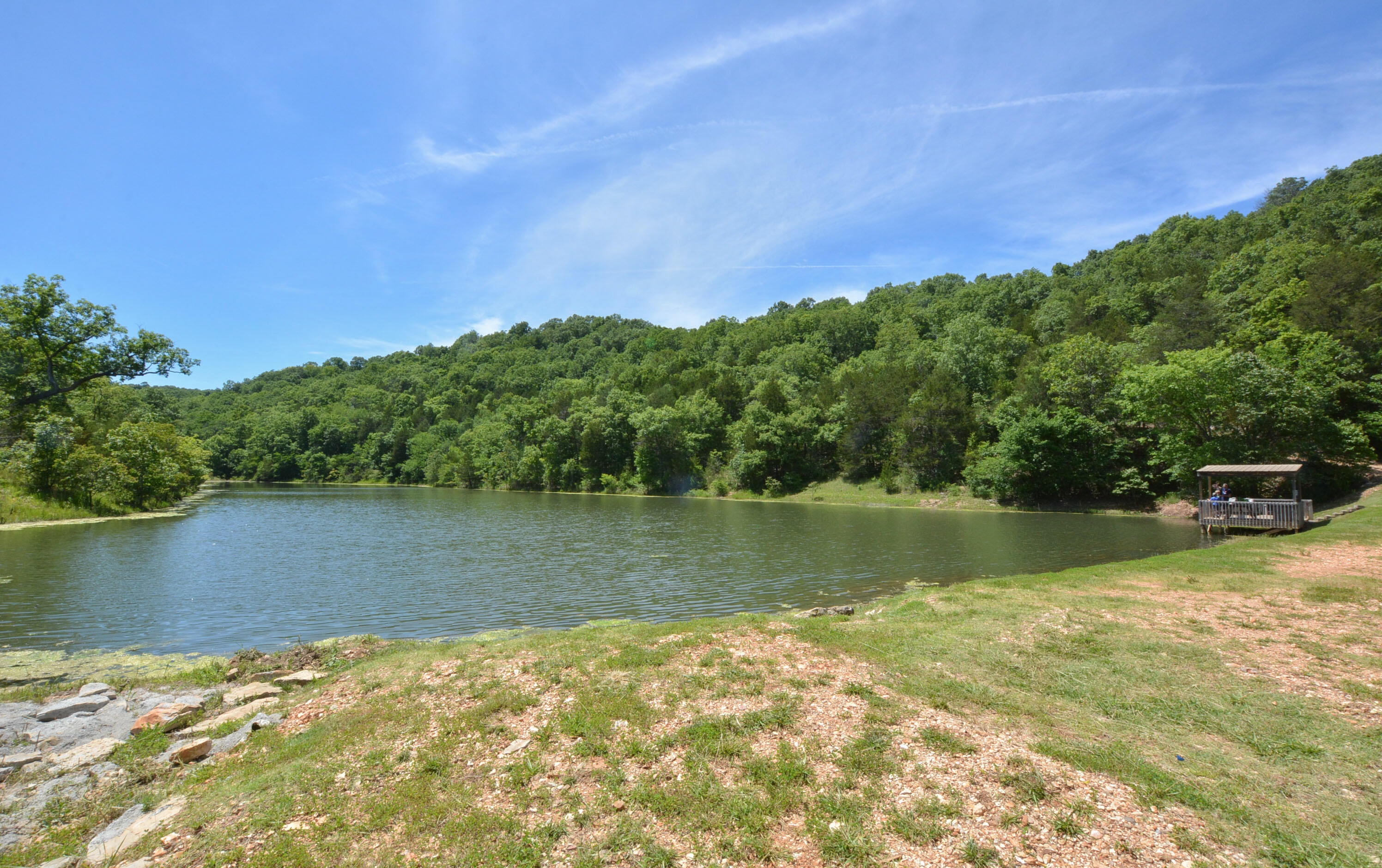 Undisclosed Address Reeds Spring, MO 65737 - Photo 53 of 55 DSC_3967_1