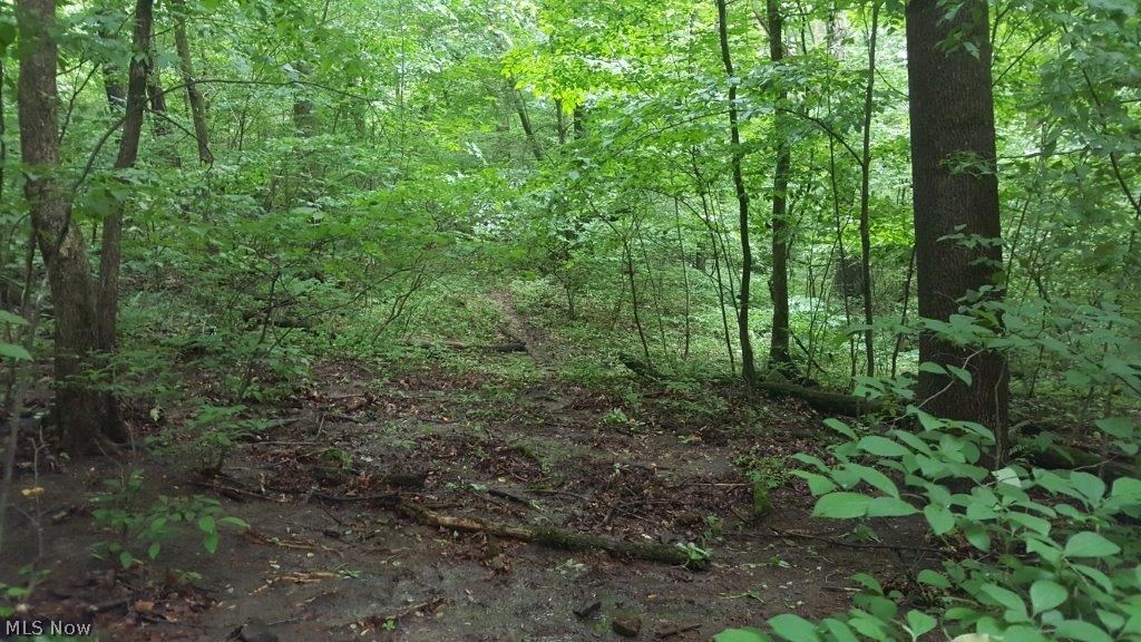 5846 Holmes Church Road Northeast New Philadelphia, OH 44663 - Photo 8 of 34