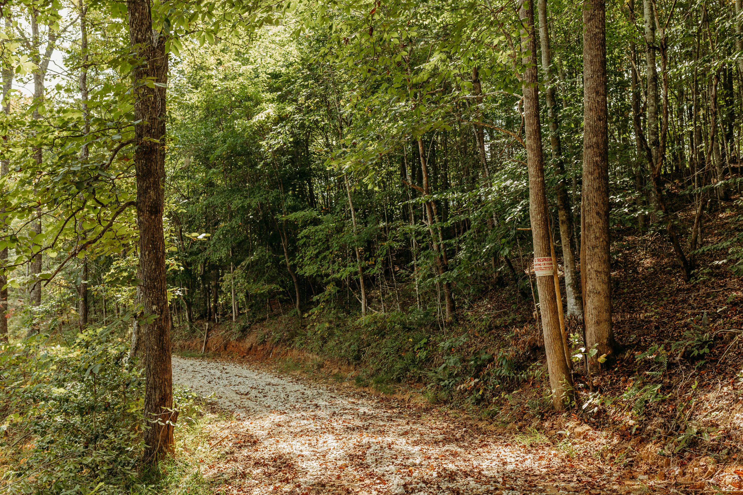 Tbd Lot 25 Tbd Road Campton, KY 41301 - Photo 3 of 17 FO7A1050