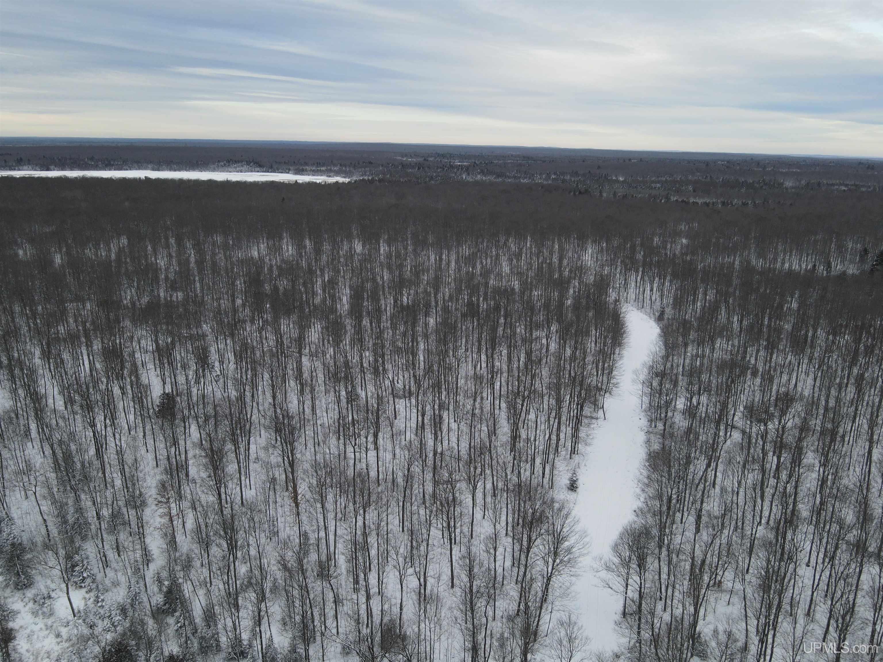 80-acr 80-acr Ford Road Watton, MI 49970 - Photo 10 of 17