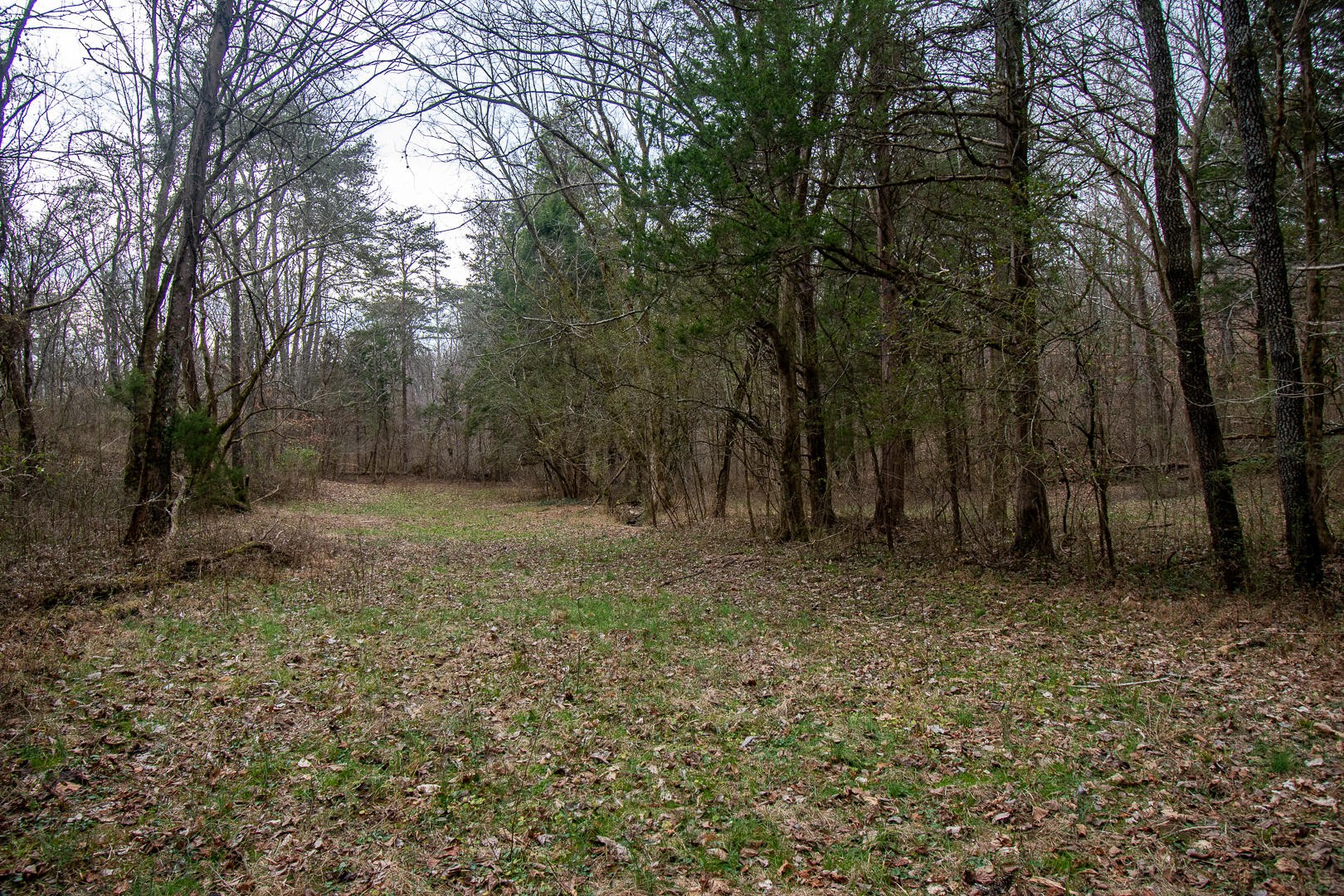 0 357 Mckinney Road Blaine, TN 37709 - Photo 7 of 17 Gallery Image 7