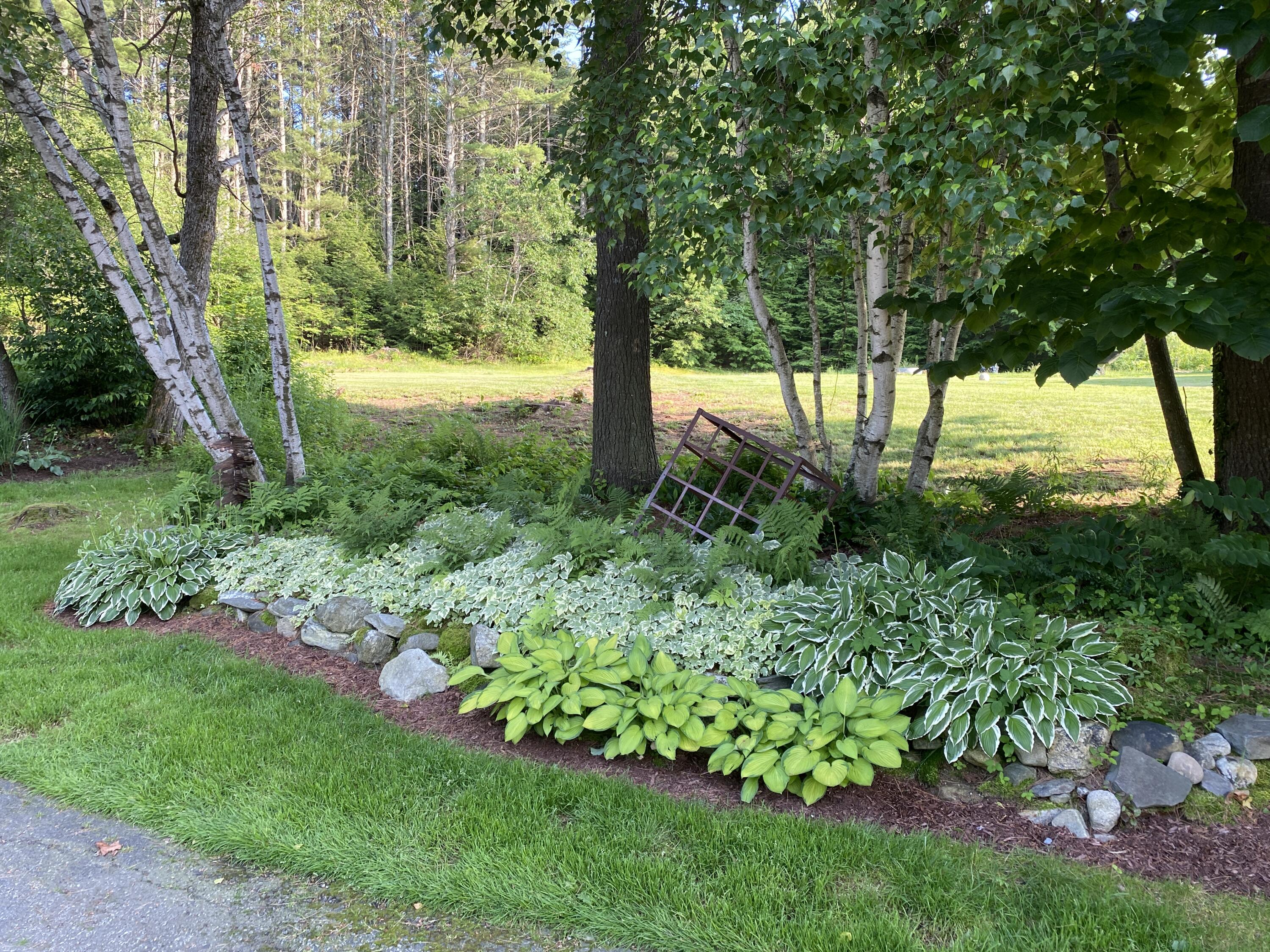 185 Pond Road Lewiston, ME 04240 - Photo 23 of 26 plants
