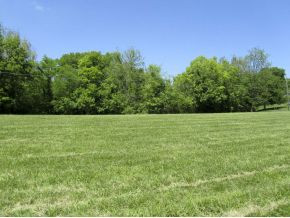 Lot 3 Hodges Road, Unit 3 Kodak, TN 37764 - Photo 3 of 17 Photo 3
