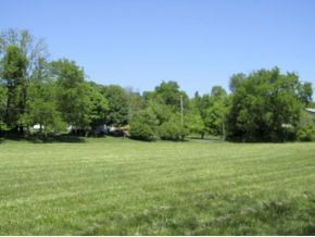 Lot 3 Hodges Road, Unit 3 Kodak, TN 37764 - Photo 5 of 17 Photo 5
