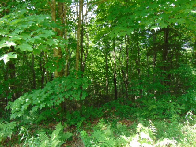 0 Hoyt Road Colebrook, NH 03576 - Photo 14 of 26