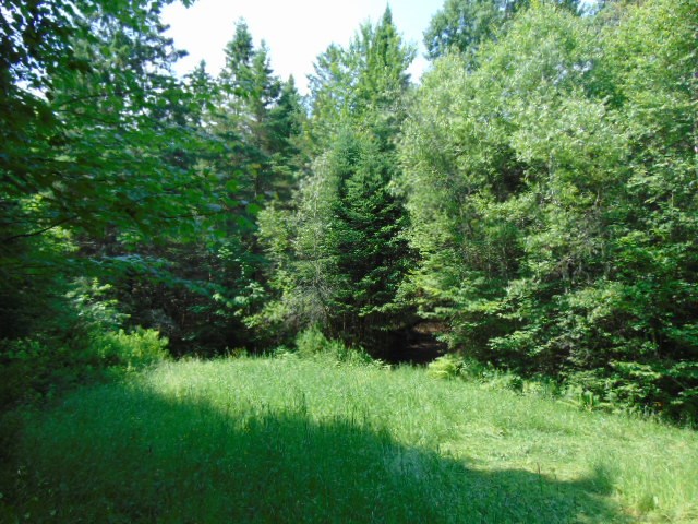 0 Hoyt Road Colebrook, NH 03576 - Photo 8 of 26