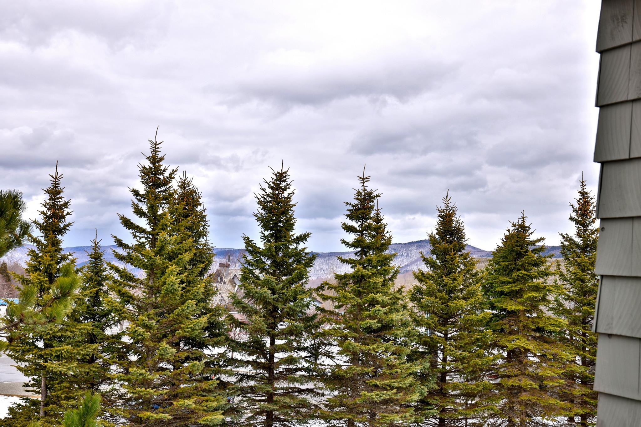 228 East Mountain Road, Unit 321/323 INTERVAL I Killington, VT 05751 - Photo 24 of 50