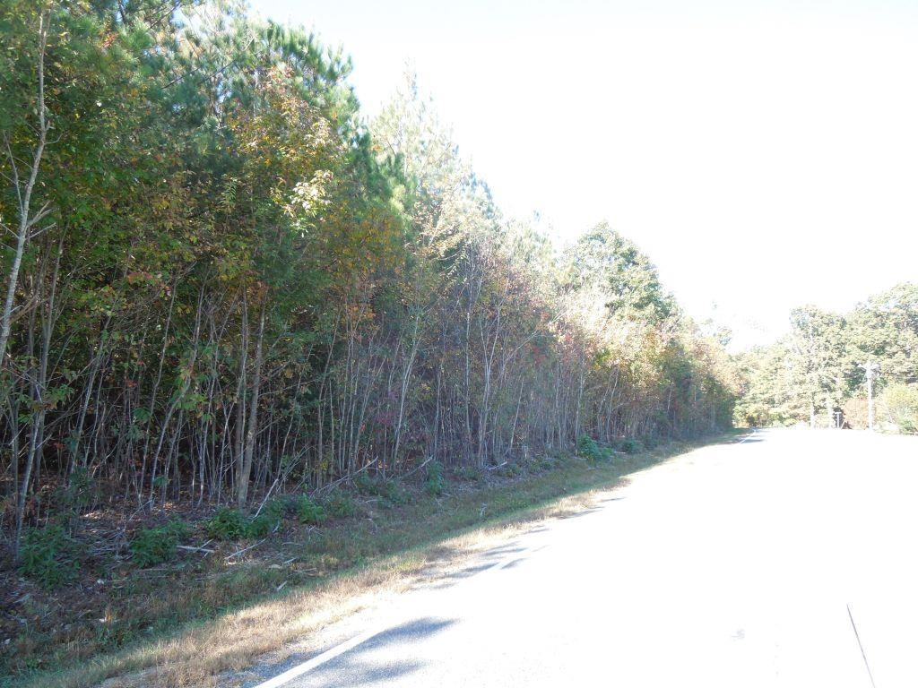 Mcduffie Road Biscoe, NC 27209 - Photo 5 of 10 Photo 5