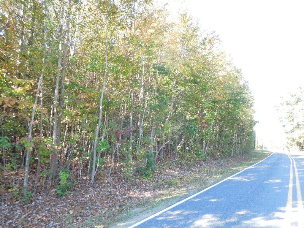 Mcduffie Road Biscoe, NC 27209 - Photo 6 of 10 Photo 6